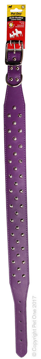 PET ONE COLLAR LEATHER 3 ROW STUD 65CM PURPLE
