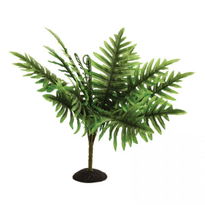 REPTILE ONE PLANT SWORD FERN 40CM