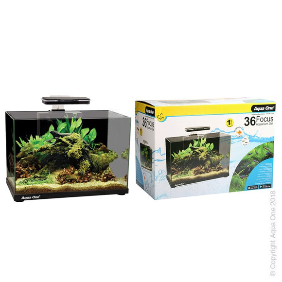 AQUA ONE FOCUS 36 AQUARIUM BLACK