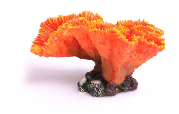 AQUA ONE ORNAMENT EUPHYLLIA ORANGE