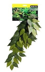 REPTILE ONE VARIGATED IVY CASCADING PLANT 40CM GREEN