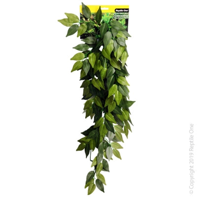 REPTILE ONE VARIGATED IVY CASCADING PLANT 72CM GREEN
