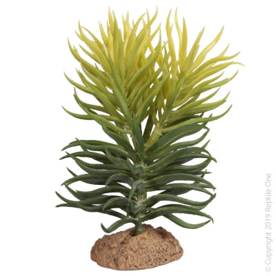 REPTILE ONE PENCIL SUCCULENT WITH RESIN BASE