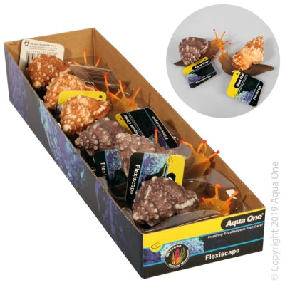 AQUA ONE FLEXISCAPE SEA SNAIL ASSORTED COLOURS 5CM