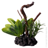 AQUA ONE BETTASCAPE LILY LEAF ON DRIFTWOOD GREEN