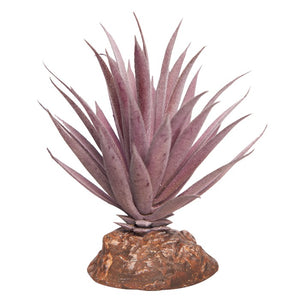 REPTILE ONE REPTILE PLANT MINI IONANTHA RED WITH CERAMIC BASE