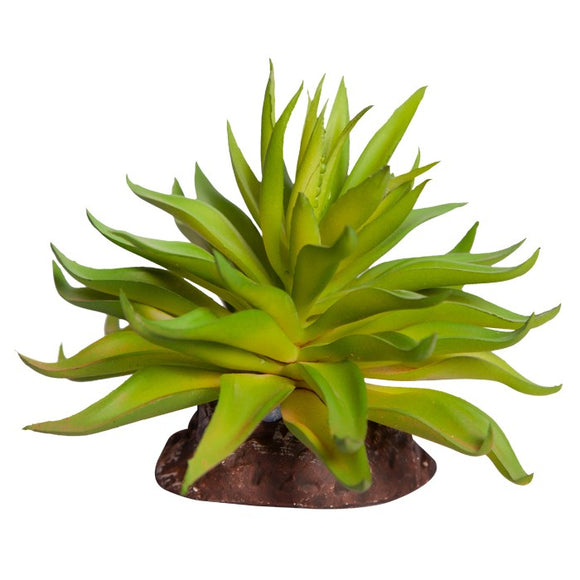 REPTILE ONE REPTILE PLANT MINI CARPOBROTUS GREEN WITH CERAMIC BASE