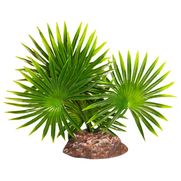 REPTILE ONE REPTILE PLANT SMALL FAN PALM GREEN WITH CERAMIC BASE