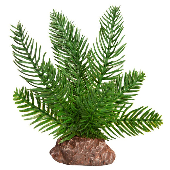 REPTILE ONE REPTILE PLANT SMALL SAGO PALM GREEN WITH CERAMIC BASE