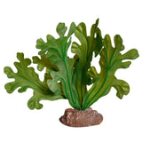 REPTILE ONE REPTILE PLANT SMALL FISHBONE CACTUS GREEN WITH CERAMIC BASE