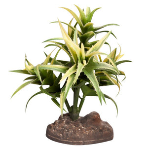 REPTILE ONE REPTILE PLANT SMALL FLEXUOSA GREEN WITH CERAMIC BASE