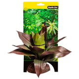 REPTILE ONE REPTILE PLANT MED SPATHACEA GREEN RED WITH CERAMIC BASE