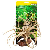 REPTILE ONE REPTILE PLANT MEDIUM EXSERTA GREEN WITH CERAMIC BASE