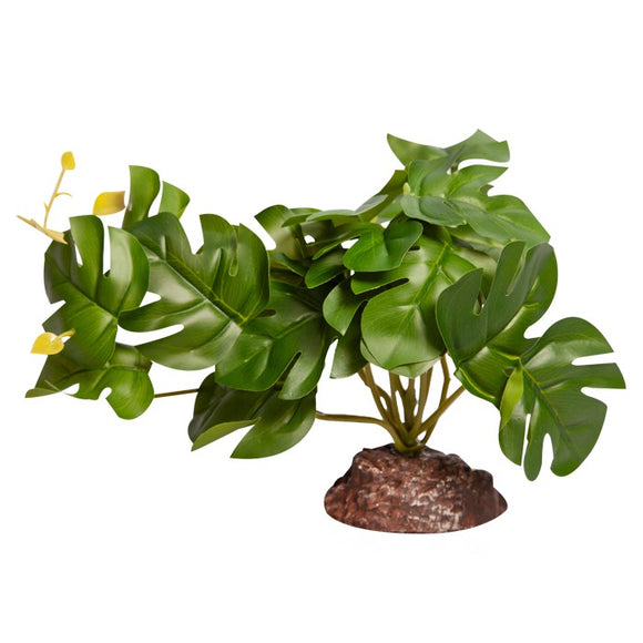 REPTILE ONE REPTILE PLANT MED RHAPHIDOPHORA GREEN WITH CERAMIC BASE