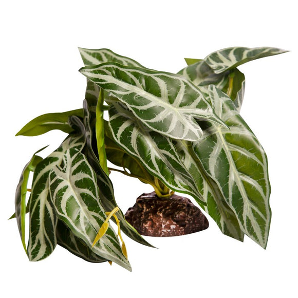 REPTILE ONE REPTILE PLANT MED ALOCASIA GREEN WITH CERAMIC BASE