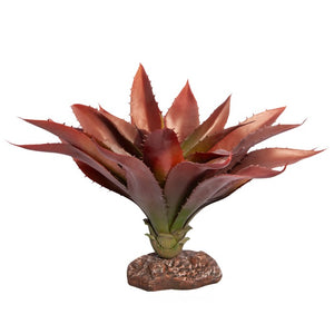 REPTILE ONE REPTILE PLANT MEDIUM ALOE RED GREEN WITH CERAMIC BASE