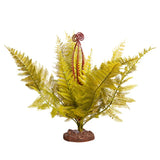 REPTILE ONE REPTILE PLANT LARGE FERN GREEN WITH CERAMIC BASE