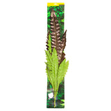 REPTILE ONE REPTILE HANGING PLANT 90CM BIRDS NEST FERN RED GREEN WITH SUCTION CUP