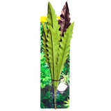 REPTILE ONE REPTILE HANGING PLANT 40CM BIRDS NEST FERN RED