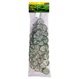 REPTILE ONE REPTILE HANGING PLANT 70CM BRUNNERA GREEN SILVER WITH SUCTION CUP