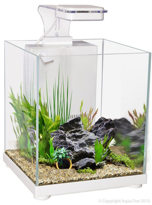 AQUA ONE BETTA SANCTUARY GLASS 10L WHITE