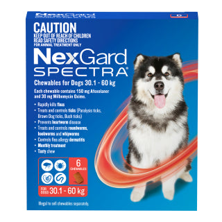 NEXGARD SPECTRA 30.1-60KG 6PK 