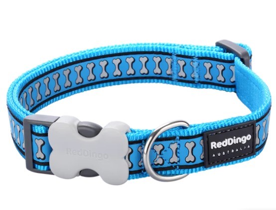 RED DINGO DOG COLLAR REFLECTIVE BONES TURQUOISE 12MM