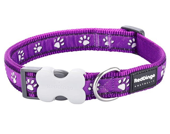 RED DINGO DOG COLLAR DESERT PAWS PURPLE 15MM