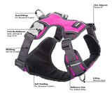 RED DINGO PADDED HARNESS HOT PINK SMALL