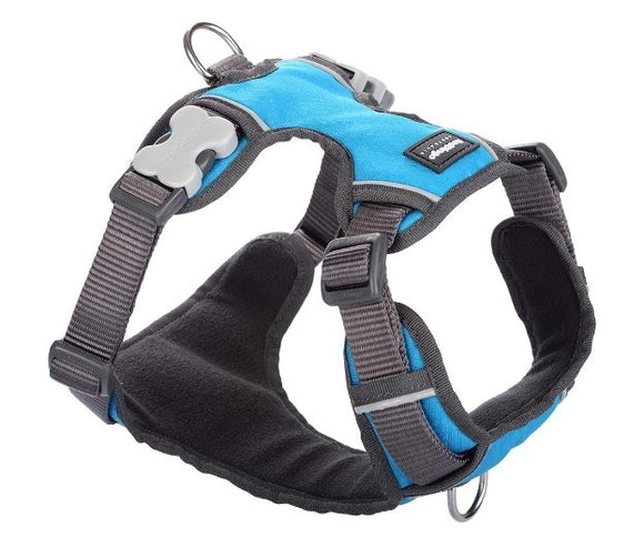 RED DINGO PADDED HARNESS TURQUOISE SMALL