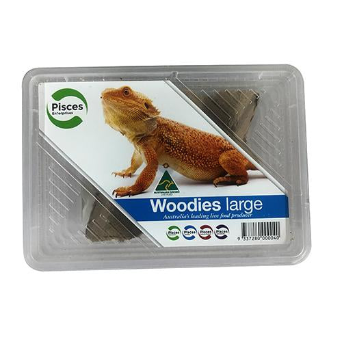 PISCES WOODIES LARGE TUB