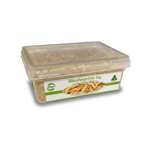 PISCES MEALWORMS REGULAR 50G