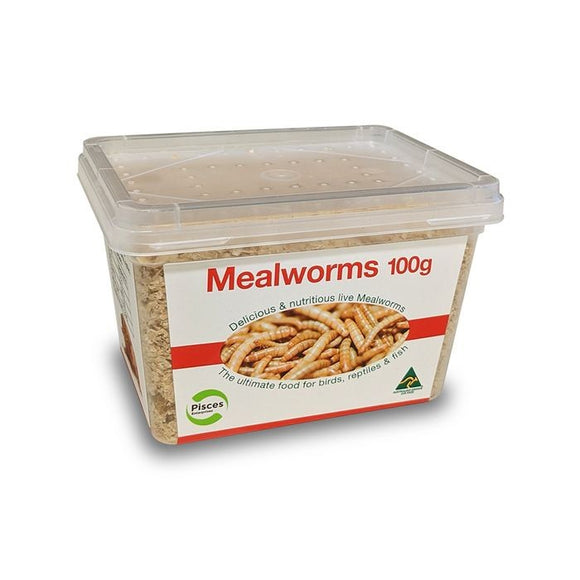 PISCES MEALWORMS REGULAR 100G