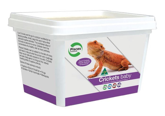 CRICKETS BABY/PIN TUB