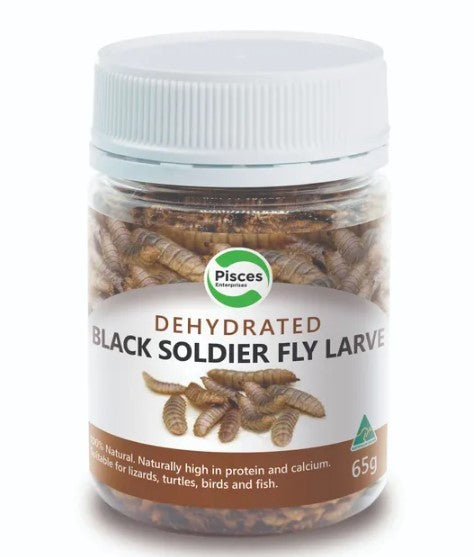 PISCES DEHYDRATED BLACKSOLDIER FLY LARVE 65G