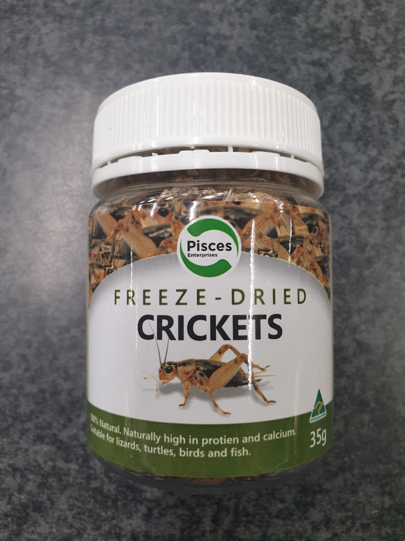 PISCES FREEZEDRIED CRICKETS JAR 35G
