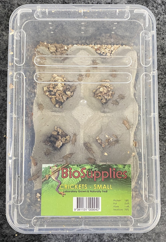 CRICKETS SMALL TUB
