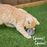 KAZOO NOISY MOUSE WITH SOUND CHIP