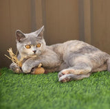 KAZOO SNEAKY MOUSE TEXTURAL