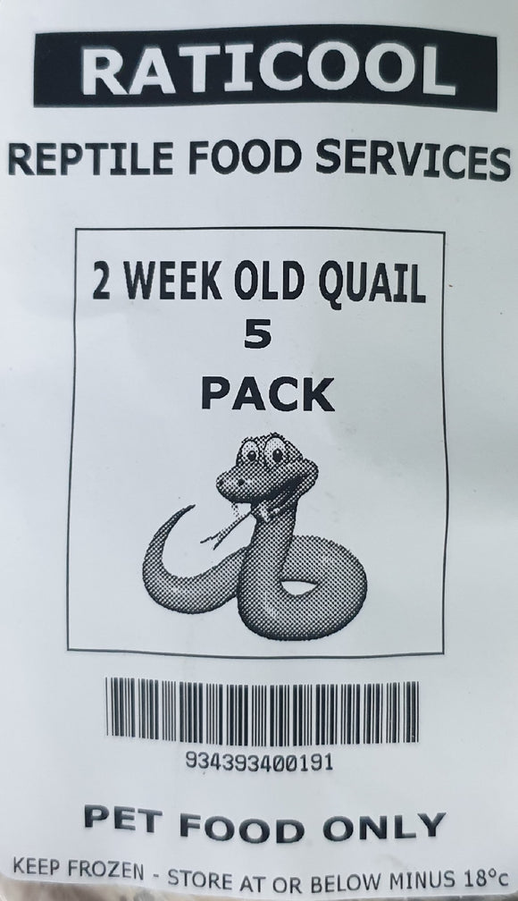 RATICOOL QUAIL 2 WEEK OLD 5PK