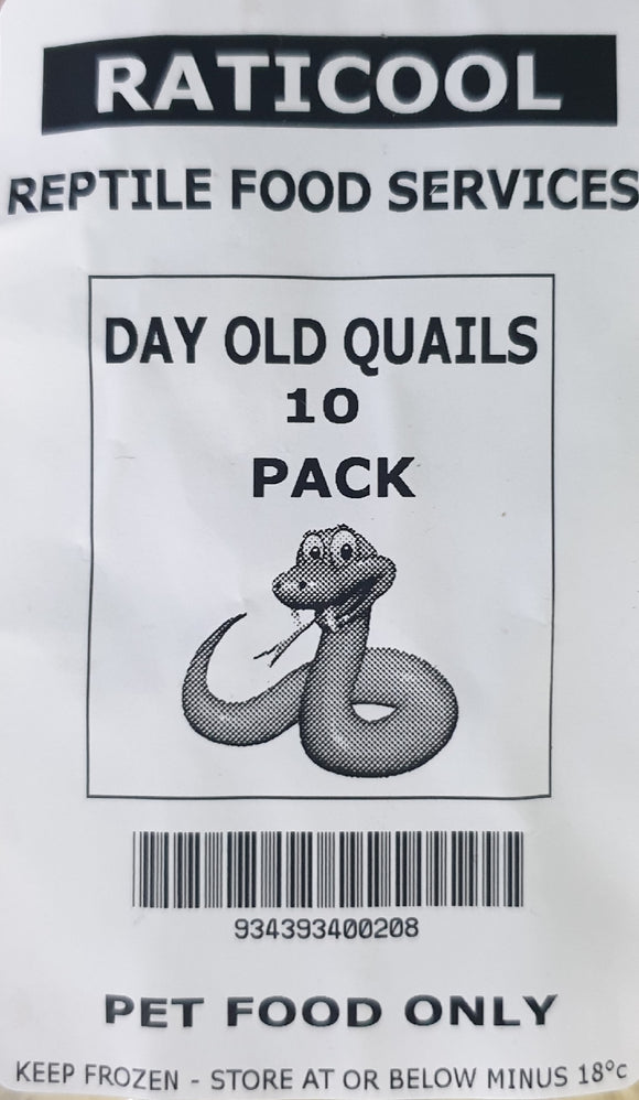 RATICOOL QUAIL DAY OLD 10PK