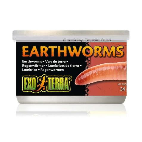 EXO TERRA CANNED EARTHWORMS 34G