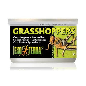 EXO TERRA GRASSHOPER SMALL