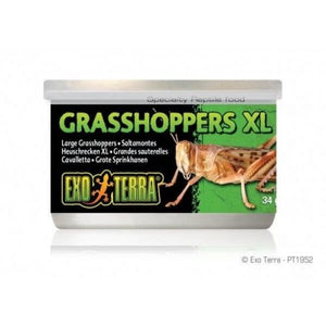 EXO TERRA GRASSHOPER XL