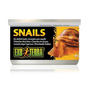 EXO TERRA SNAILS UNSHELLED 48GM