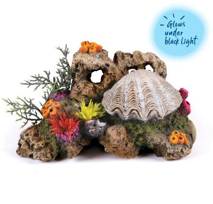 KAZOO ACTION CLAM WITH CORAL AND PLANTS MEDIUM