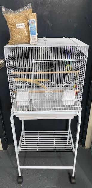 DELUXE BUDGIE SETUP