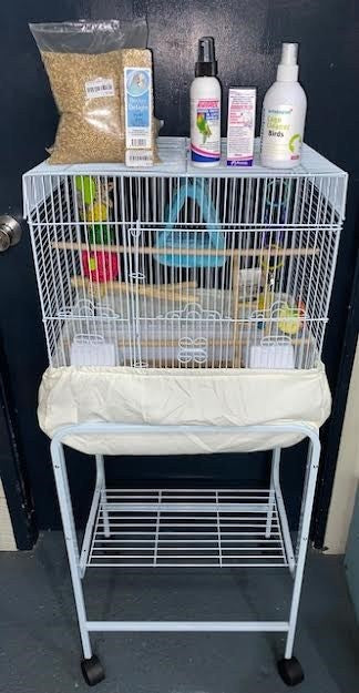ULTIMATE DELUXE BUDGIE SETUP