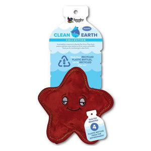 CLEAN EARTH STARFISH SMALL