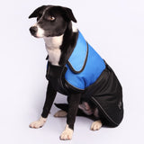 *LAST SEASON* PET ONE DOG COAT BLIZZARD 30CM BLUE HEAVY DUTY AND WATERPROOF##